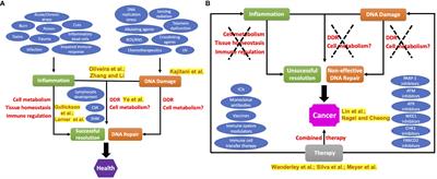 Editorial: DNA repair and immune response